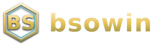 bsowin โลโก้